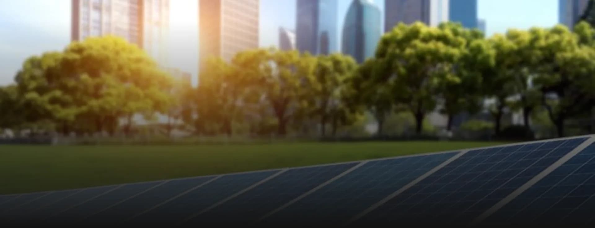 Sustainability & Solar Initiatives